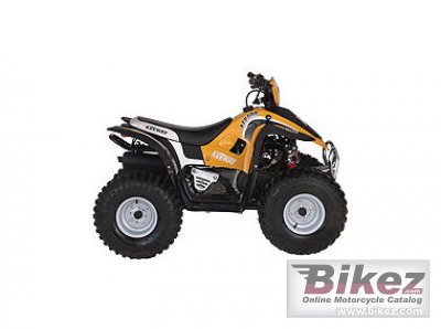 2009 Keeway ATV 100 photo